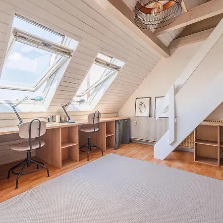 L'abri De La Krutenau - Triplex Apartment